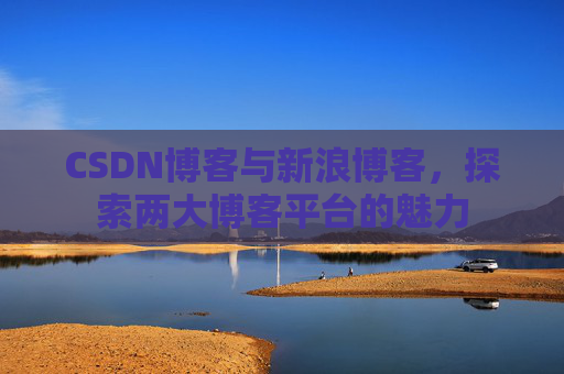 CSDN博客与新浪博客，探索两大博客平台的魅力